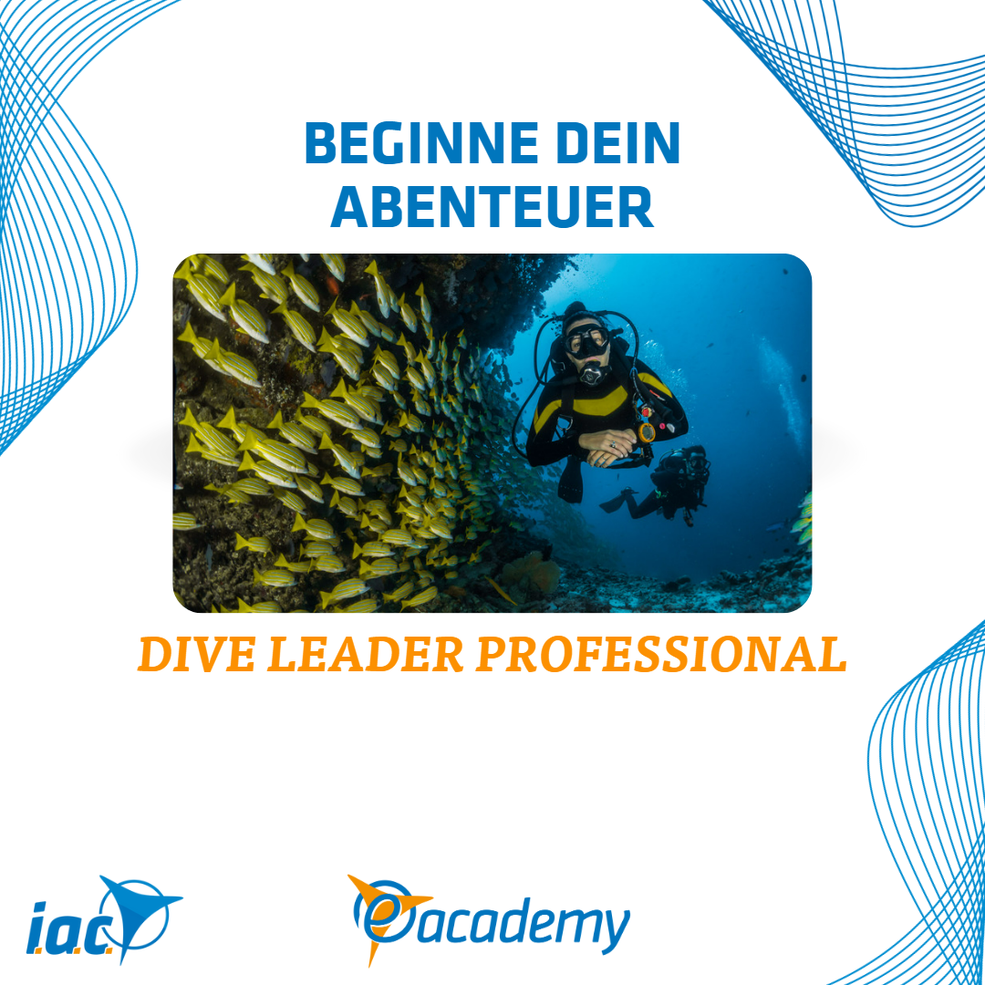 Dive Leader Professional